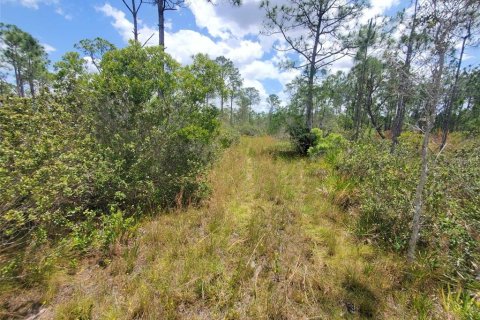 Terrain à vendre à Punta Gorda, Floride № 1158408 - photo 25