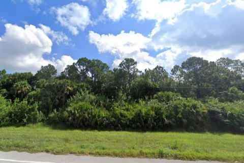 Land in Okeechobee, Florida № 712763 - photo 11