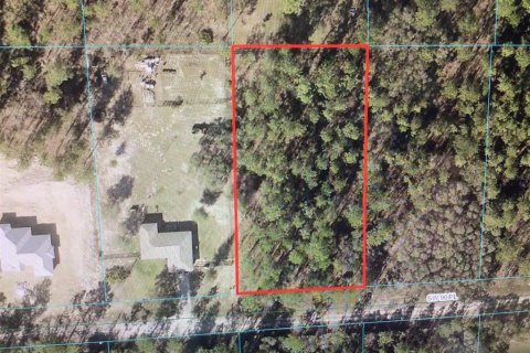 Terreno en venta en Dunnellon, Florida № 1352335 - foto 1