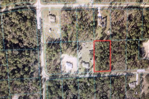 Terreno en venta en Dunnellon, Florida № 1352335 - foto 2