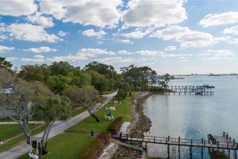 Land in Dunedin, Florida № 1288086 - photo 3