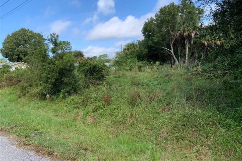 Land in Englewood, Florida № 380443 - photo 2