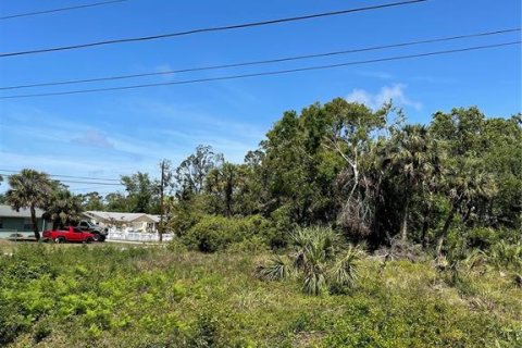 Land in Englewood, Florida № 380443 - photo 7