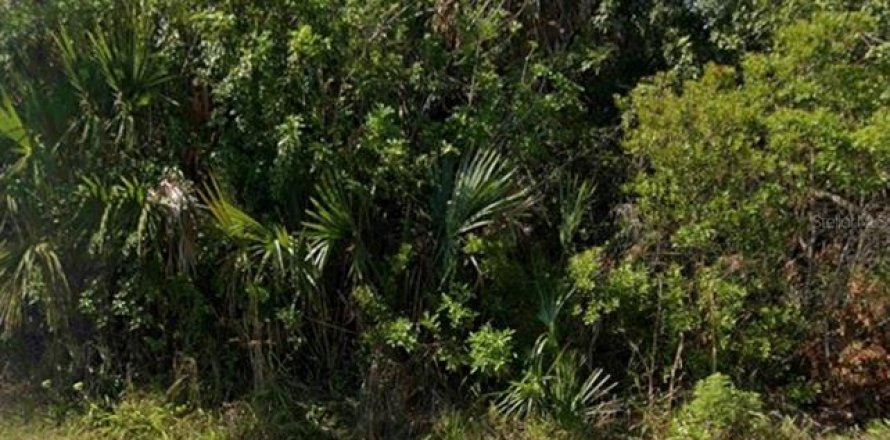 Terrain à Port Charlotte, Floride № 994671