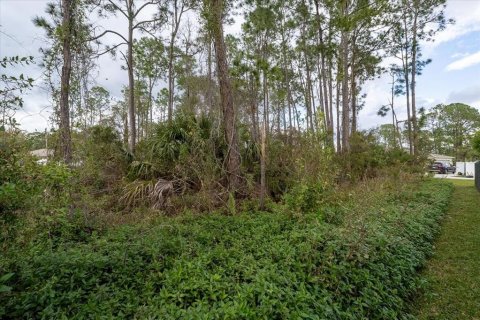 Terrain à vendre à Kissimmee, Floride № 989931 - photo 22