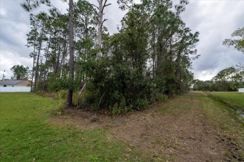 Terrain à vendre à Kissimmee, Floride № 989931 - photo 20