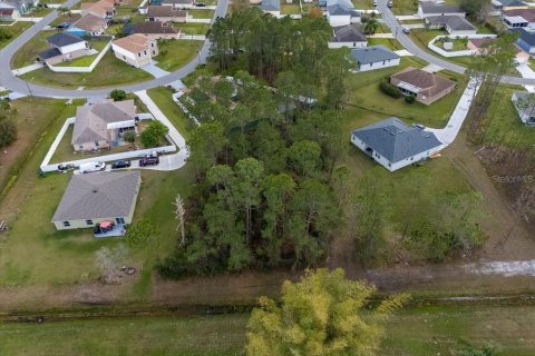 Terrain à vendre à Kissimmee, Floride № 989931 - photo 6