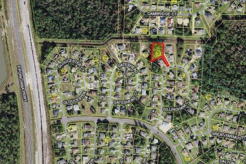 Terrain à vendre à Kissimmee, Floride № 989931 - photo 2