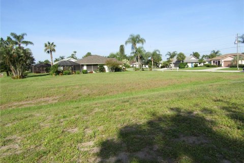 Terrain à vendre à Rotonda, Floride № 218346 - photo 6