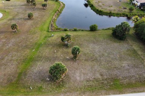 Land in Punta Gorda, Florida № 666005 - photo 3