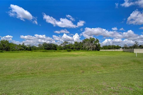 Land in Lutz, Florida № 1347349 - photo 3