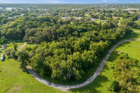 Land in Tavares, Florida № 1273540 - photo 11