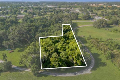 Terreno en venta en Tavares, Florida № 1273540 - foto 8