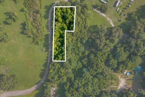 Terreno en venta en Tavares, Florida № 1273540 - foto 3