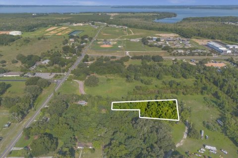 Terreno en venta en Tavares, Florida № 1273540 - foto 18