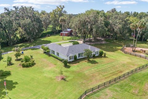 Villa ou maison à vendre à Ocala, Floride: 8 chambres, 528.15 m2 № 1308081 - photo 7