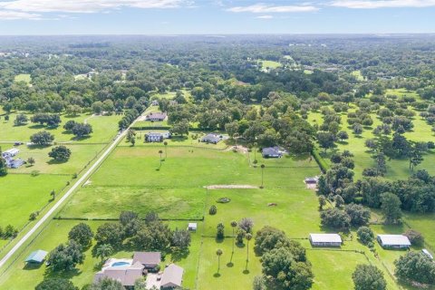 Villa ou maison à vendre à Ocala, Floride: 8 chambres, 528.15 m2 № 1308081 - photo 13