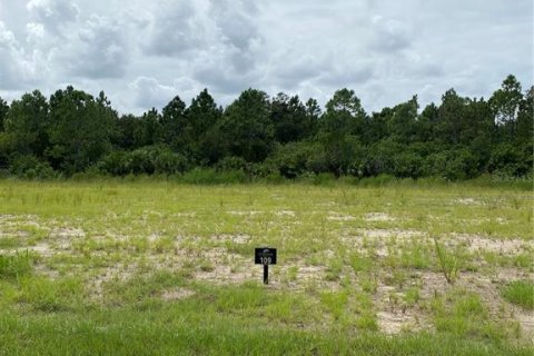 Land in Flagler Beach, Florida № 1376223 - photo 1