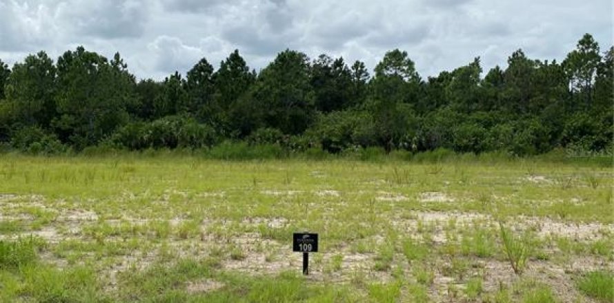 Land in Flagler Beach, Florida № 1376223