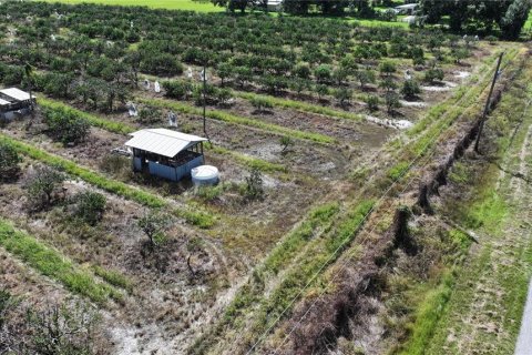 Land in Wauchula, Florida № 1376187 - photo 23