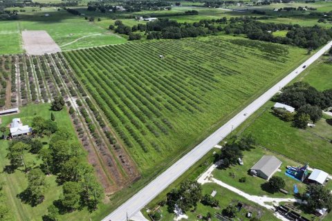 Land in Wauchula, Florida № 1376187 - photo 27