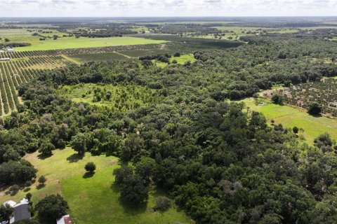 Terreno en venta en Wauchula, Florida № 1376187 - foto 19