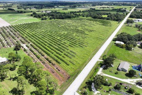 Land in Wauchula, Florida № 1376187 - photo 30