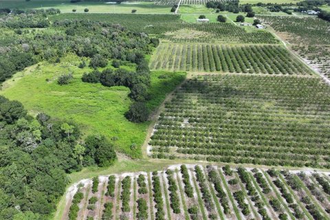 Land in Wauchula, Florida № 1376187 - photo 12