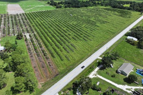 Land in Wauchula, Florida № 1376187 - photo 28