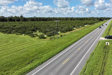 Land in Wauchula, Florida № 1376187 - photo 2