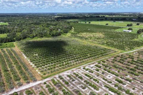 Land in Wauchula, Florida № 1376187 - photo 10