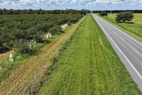 Land in Wauchula, Florida № 1376187 - photo 21