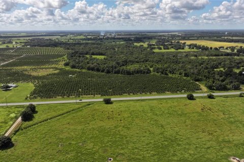 Land in Wauchula, Florida № 1376187 - photo 20