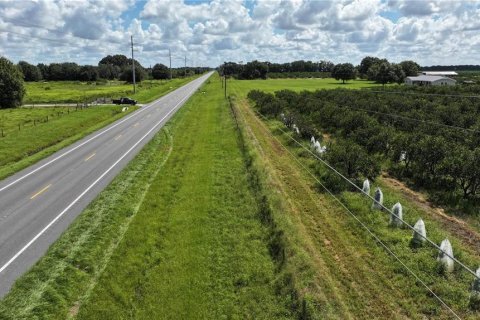 Land in Wauchula, Florida № 1376187 - photo 22