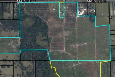 Land in Wauchula, Florida № 1376187 - photo 1