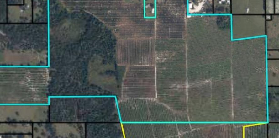 Land in Wauchula, Florida № 1376187