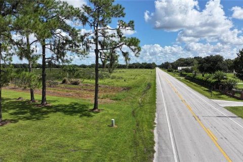 Land in Wauchula, Florida № 1376187 - photo 26