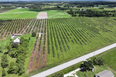 Land in Wauchula, Florida № 1376187 - photo 29