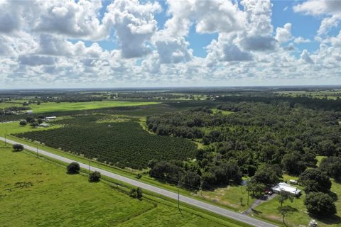 Terreno en venta en Wauchula, Florida № 1376187 - foto 6