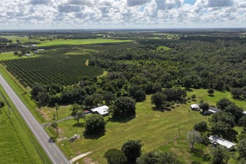 Terreno en venta en Wauchula, Florida № 1376187 - foto 7