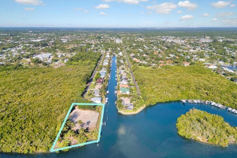 Land in Hobe Sound, Florida № 1210184 - photo 13