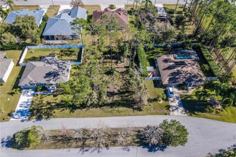 Terrain à vendre à Palm Coast, Floride № 244839 - photo 2