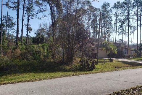 Terrain à vendre à Palm Coast, Floride № 244839 - photo 8