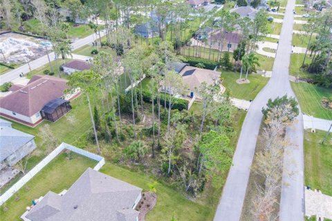 Terrain à vendre à Palm Coast, Floride № 244839 - photo 4