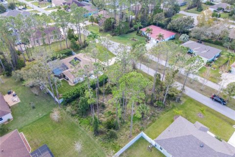 Terrain à vendre à Palm Coast, Floride № 244839 - photo 19
