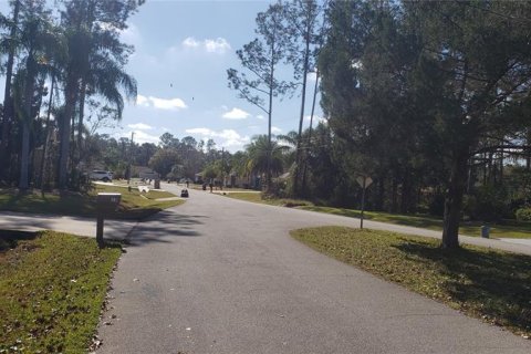 Terrain à vendre à Palm Coast, Floride № 244839 - photo 10