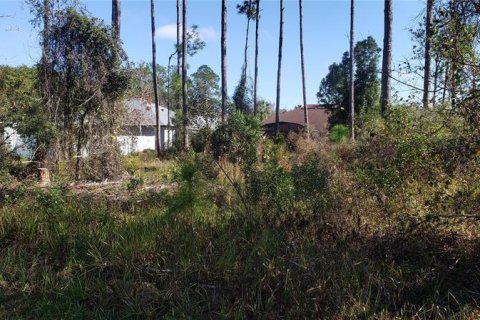 Terrain à vendre à Palm Coast, Floride № 244839 - photo 16