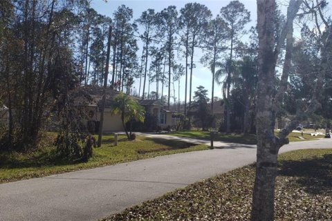 Terrain à vendre à Palm Coast, Floride № 244839 - photo 9