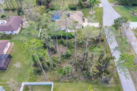 Land in Palm Coast, Florida № 244839 - photo 20