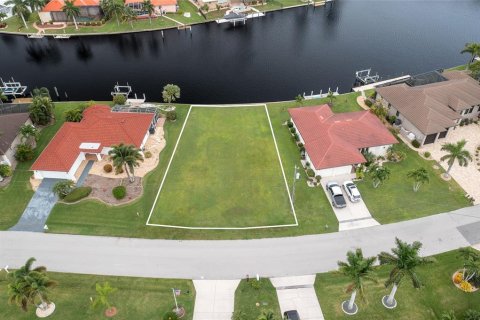 Land in Punta Gorda, Florida № 1390217 - photo 9